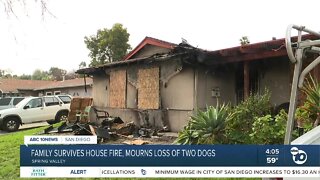 Family survives house fire, mourns loss of two dogs