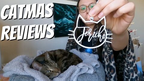 Gifts for Cat Owners and Cats Product Reviews #VLOGMAS Holiday Shopping Guide