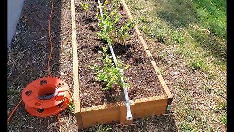 Raised Bed Watering System
