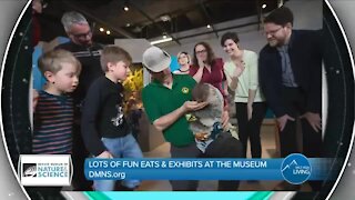 Food & Fun! // Denver Museum of Nature and Science