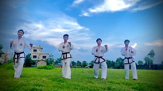 Teakwondo side kick