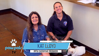 Paw Pals TV: Watch Kat Lloyd with Amber Greene, Director of Smith County Animal Control & Shelter.
