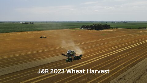 Wheat Harvest of 2023