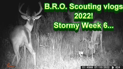 B.R.O. Scouting vlogs 2022! Week 6... Stormy & Wet!