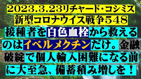 2023.03.23 リチャード・コシミズ新型コロナウイルス戦争５４８