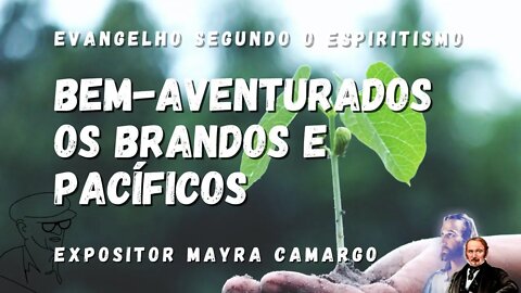 Bem-Aventurados os Brandos e Pacíficos (Cap. 9 de O Evangelho Segundo o Espiritismo)