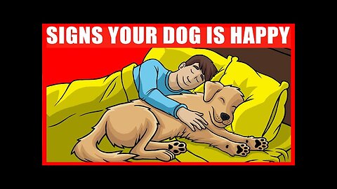 5 Signs of a Happy Dog