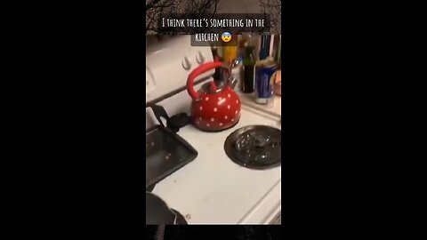 Scary video in kitchen