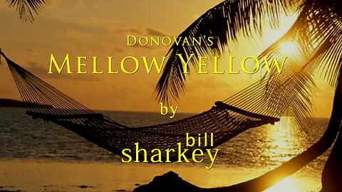 Mellow Yellow - Donovan (cover-live by Bill Sharkey)