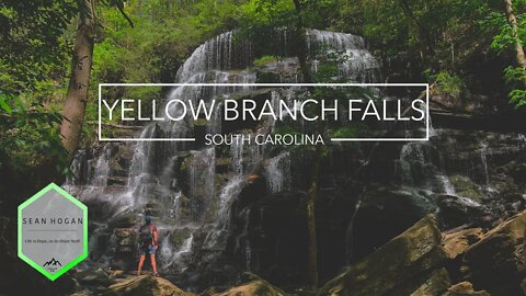 Yellow Branch Falls, SC -- 4K Cinematic