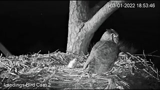 Mom's PM Leave & Return-Cam Two 🦉 3/1/22 18:38
