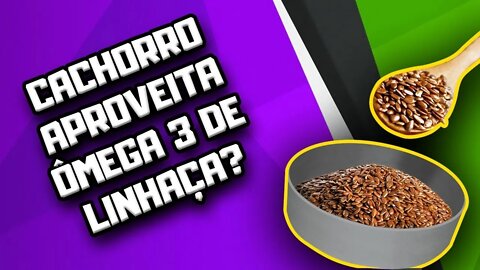 Posso suplementar ômega 3 com linhaça? | Dr. Edgard Gomes | Alimentação natural para Cães