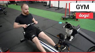 Meet the personal trainer who lets his clients bring their DOGS to the gym