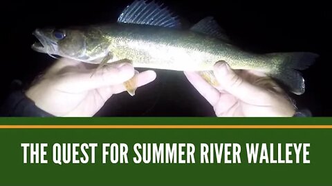 The Quest For Summer River Walleye / Night Fishing From Shore / Bass, Catfish, Suckers And More