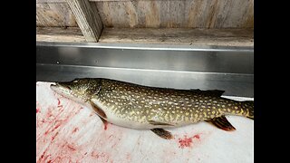 Fishing Lake Gogebic