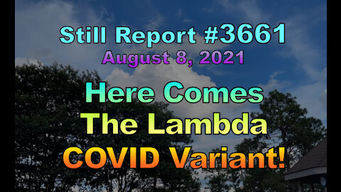 Here Comes the Lambda COVID Variant!, 3661