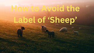 How to Avoid the Label of ‘Sheep’ ∞The 9D Arcturian Council, Channeled by Daniel Scranton