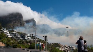 A veld fire was brought under control by the valiant efforts of Cape Town Firefighters