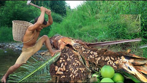 Find worms in coconut tree , Cooking worms coconut delicious