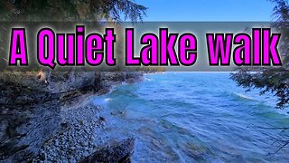 4k Woods & Waves Along Lake Michigan