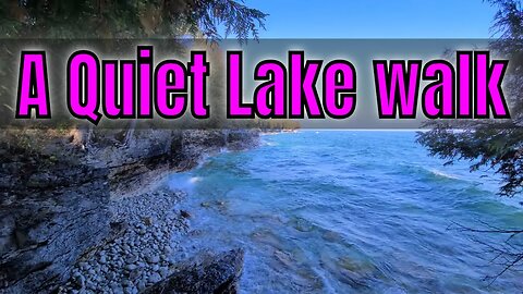 4k Woods & Waves Along Lake Michigan