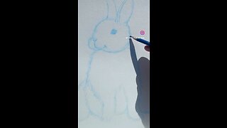 Bunny sketch