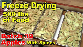 Freeze Drying Your First 500 lbs of Food - Batch 39 - Apple Slices w spices