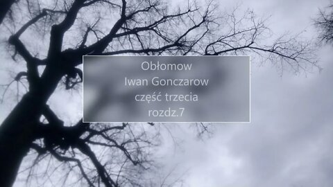 Obłomow -Iwan Gonczarow część III rozdz.7