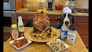 Great Dane Chef Maddie's New Roasted Beer Can Chicken Recipe