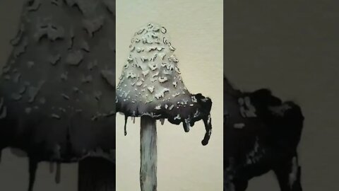 #shorts Shaggy Ink Cap Mushroom. #mushroom #shrooms #watercolor #artistshorts