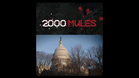 🔥💥 2000 Mules 💥🔥 (Full Film) (HD) (2022) by Dinesh D’Souza