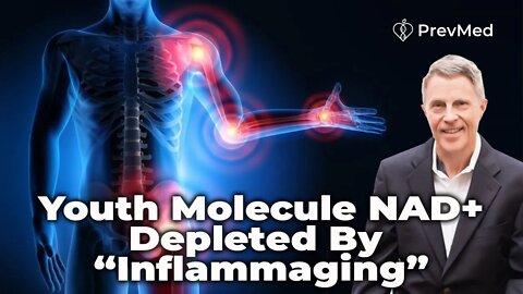 Youth Molecule NAD+ Depleted By “Inflammaging” (LIVE)