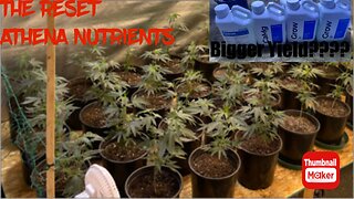 Athena Nutrients