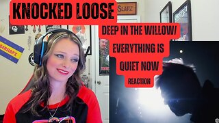 Had My Brain "Knocked Loose" with This One! Deep in the Willow/ Everything is Quiet Now Rection!