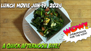 Lunch Movie 01/19/2024