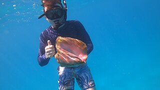 Snorkelling at Cooper's Island, Bermuda: August 2023