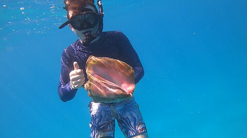 Snorkelling at Cooper's Island, Bermuda: August 2023