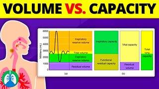 Lung Volumes vs. Capacities *Quick Explainer Video*