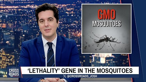 Mosquitos Modified to Spread Vaccines