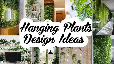 100+ Beautiful Wall Hanging Plants Ideas | Indoor Plants Decor Ideas