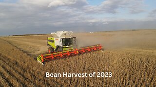 Bean Harvest of 2023