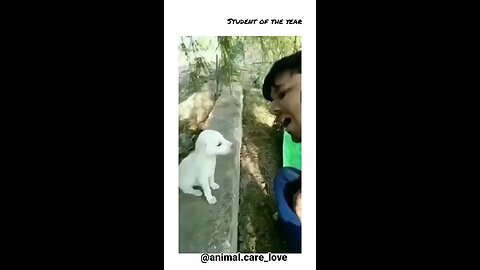 Funny Video #Funny #Dog #Laugh #Dog #Puppy