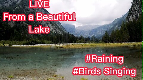 Live From A Beautiful Lake #Raining #Birds Singing