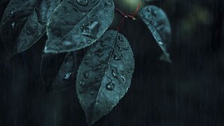 3 HOURS of gentle night rain, rain sounds for relaxing sleep