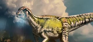 Nevada's first unique dinosaur discovery unveiled in Henderson