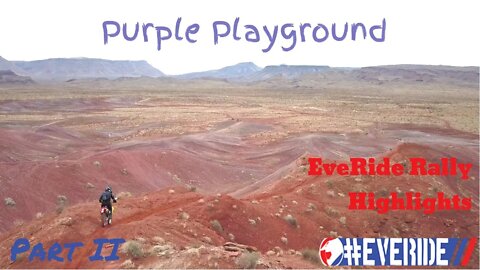 Purple Playground (EveRide Rally Highlights Part II)