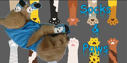 LuffyLove stars in "Socks & Paws"