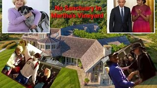 Immigrants Sent To Martha's Vineyard Being Kicked Out