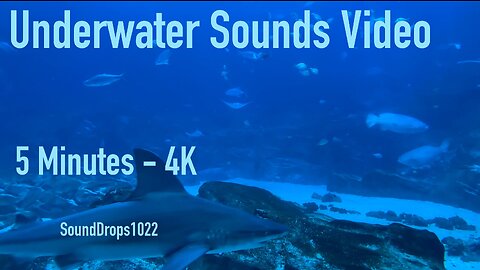 Mood Changing 5 Minutes Of Underwater Sounds Video