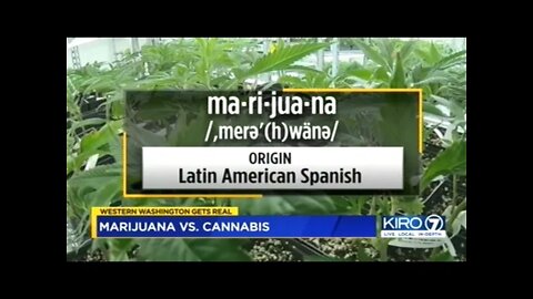 Washington State BANS The Word "Marijuana"!